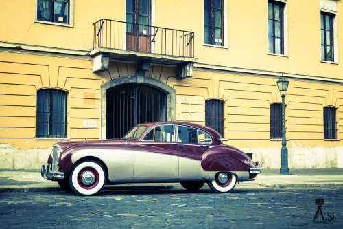 Ягуар в Будапеште