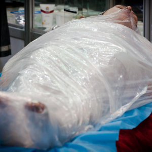 Невские берега