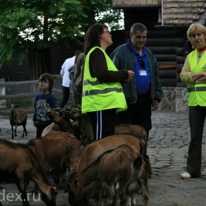 работники в живом уголке