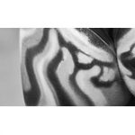 Фестиваль красоты, выставка Невские Берега. СКК. Фото.